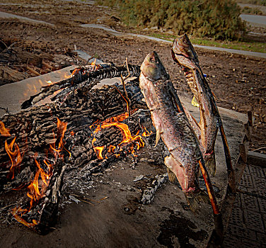 新疆,乡村,烤鱼
