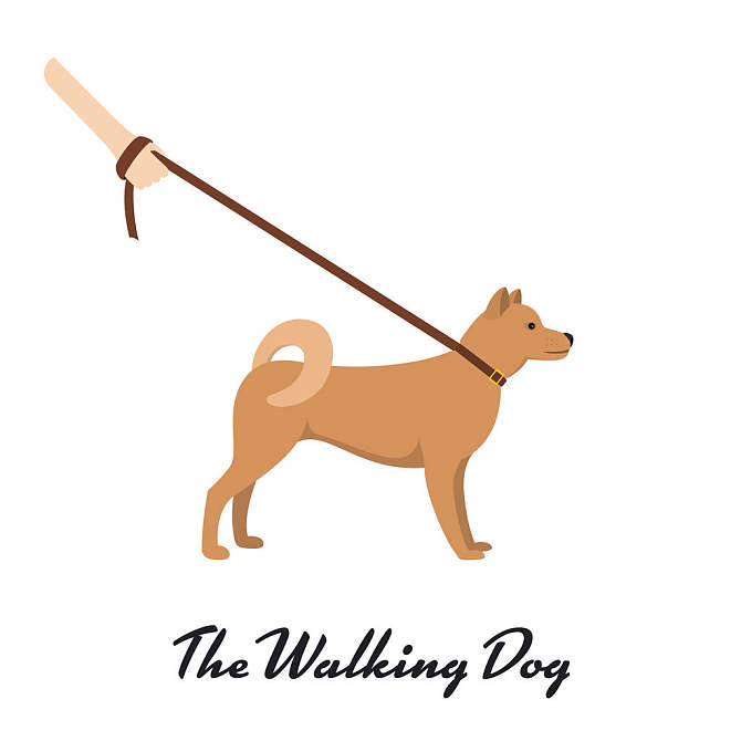 秋田_拴狗绳_狗_亚洲_白色背景_背景_矢量_插画_高清图片_全景视觉