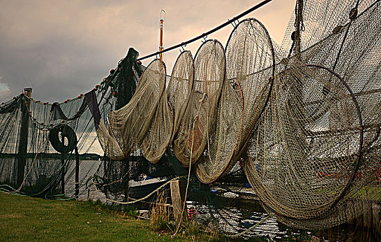 鱼,陷阱,渔网,悬挂,弄干,石勒苏益格,石荷州,德国,欧洲