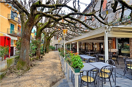 街头餐厅,桌子,椅子,树下,枝条,城镇,西尔米奥奈,意大利