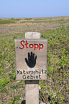 木质,标识,德国,停止,禁止进入,自然保护区,石荷州,欧洲