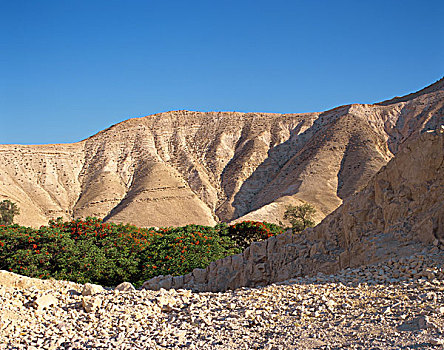 以色列,山景