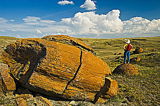 远足者,上方,砂岩,红岩,自然,区域,艾伯塔省,加拿大