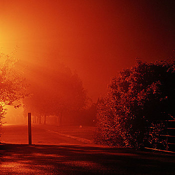 迟,夜晚,长,展示,郊区,街道,树篱,影子,亮光,左边,林肯郡,英国,2006年