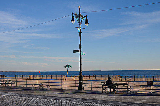一个,男人,坐,公园长椅,海滩,人造,棕榈树,康尼岛,布鲁克林,纽约,美国