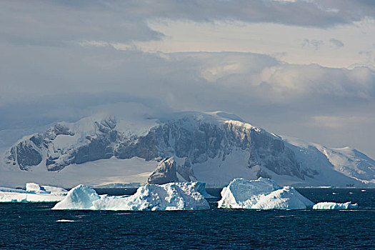 南极,南,圆,冰山