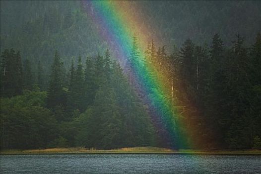 彩虹,高处,树林,湖