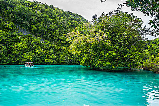 青绿色,水,洛克群岛,帕劳,中心,太平洋