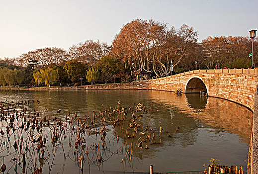 秋天的西泠桥