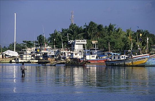 老,渔船,港口,斯里兰卡