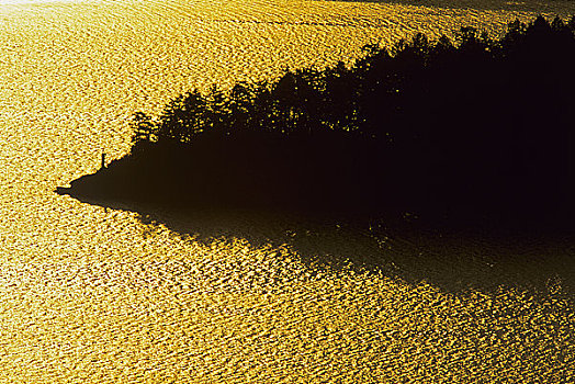 剪影,树,河边,手臂,半岛,温哥华岛,不列颠哥伦比亚省,加拿大