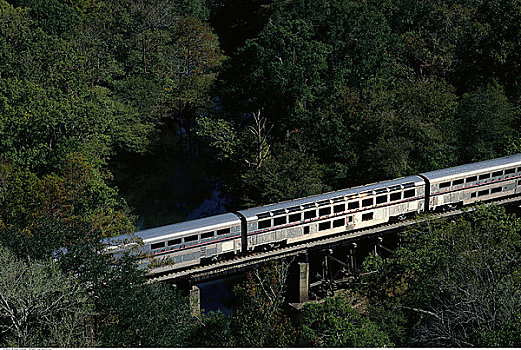 客运列车,穿过,黑色,溪流,靠近,杰克逊维尔,佛罗里达,美国