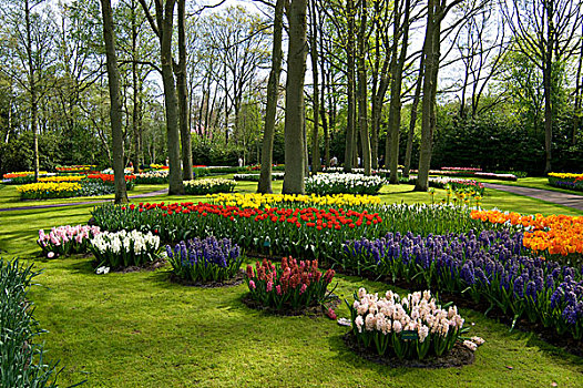 欧洲,荷兰,库肯霍夫花园
