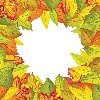 秋叶,矢量,风格,彩色,叶子,品种,树,圆,留白,中心,照片,装饰,自然,概念,季节,广告,设计