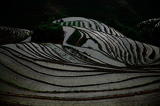 龙胜梯田