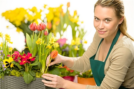 花商,安放,春花,彩色,植物