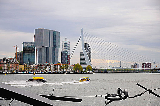 港口,俯视,鹿特丹