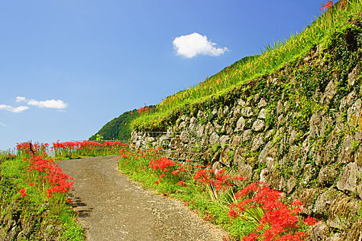 稻米梯田,车站