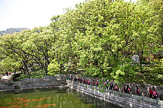 普陀山法雨寺