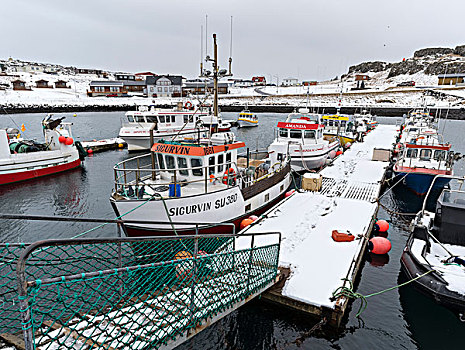港口,渔村,东方,峡湾,冬天,冰岛,大幅,尺寸