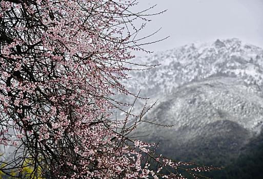 2021年3月川藏線沿途風光