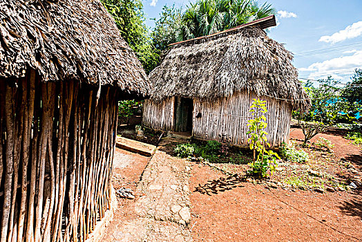 传统,玛雅,房子,尤卡坦半岛,墨西哥
