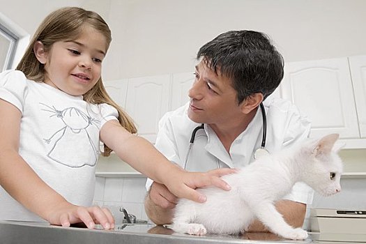 女孩,兽医,抚摸,猫