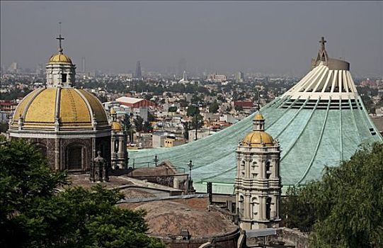 墨西哥,墨西哥城,重要,圣所,天主教,梵蒂冈城
