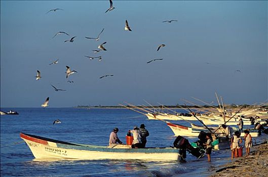 墨西哥,尤卡坦半岛,捕鱼者,乡村