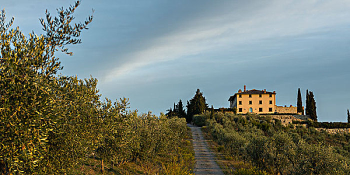 风景,土路,房子,乡村,托斯卡纳,意大利