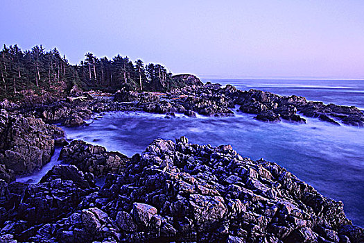 岬角,海景,黎明,环太平洋国家公园,入口,西部,海岸,温哥华岛,不列颠哥伦比亚省,加拿大