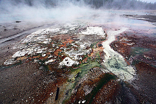 黄石国家公园,诺里斯博物馆,湖面,水面,色彩,烟雾,蒸汽,树木,树林,地热现象,世界自然遗产,火山口,间歇泉,温泉,蒸气池,热水潭,泥地,喷气孔,北美洲,美国,怀俄明州,风景,全景,文化,景点,旅游