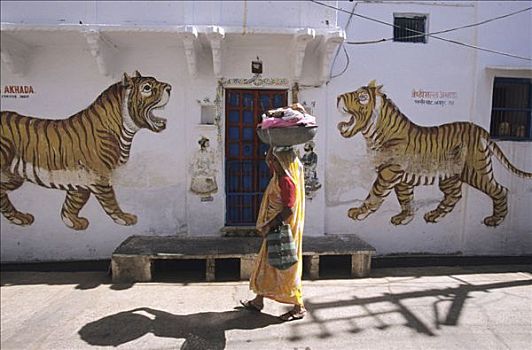 女人,洗衣服,乌代浦尔,印度