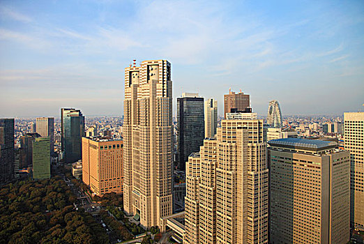 日本,东京,新宿,天际线,摩天大楼,城市,政府建筑