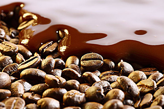 咖啡豆,巧克力