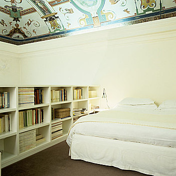 卧室,精致,天花板,大,书架
