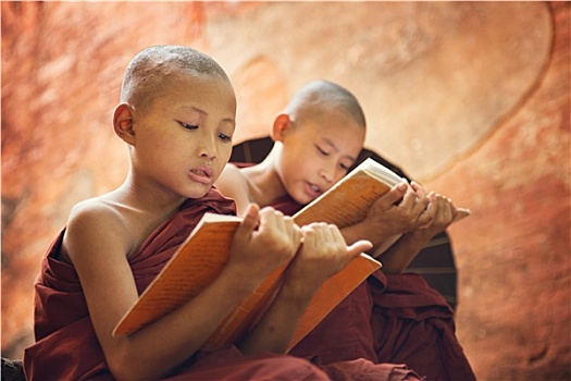 孩子,佛教,新信徒,僧侣,读,户外,庙宇