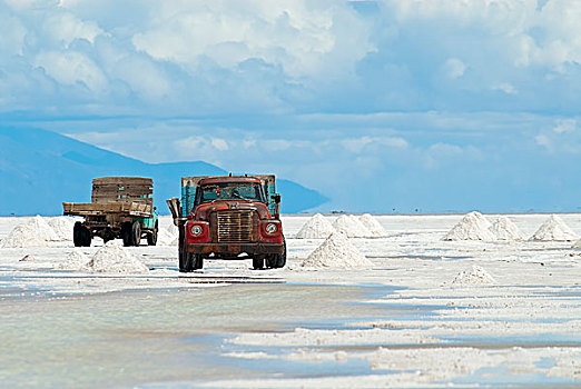 盐,波托西地区,盐湖,乌尤尼盐沼,高原,玻利维亚,南美