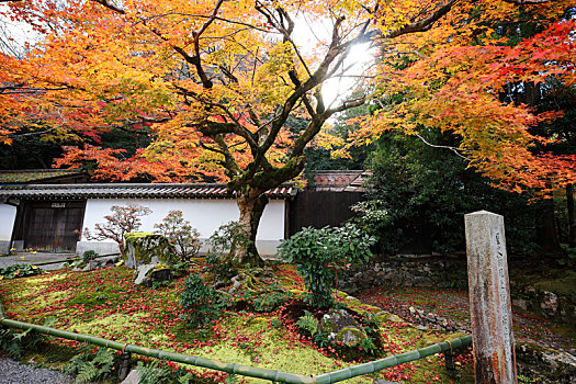 日本京都南禅寺