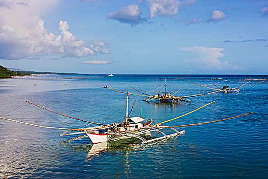 渔船,水,薄荷岛,菲律宾