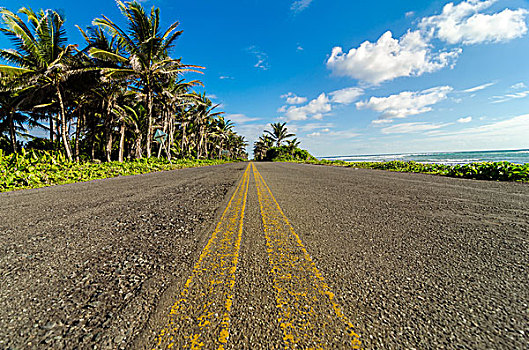 仰拍,沿岸,道路