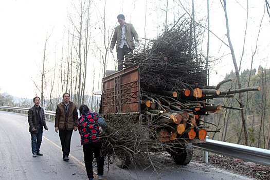 重庆市云阳县外郎乡的农村田园,耕地