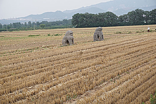 宋陵石像