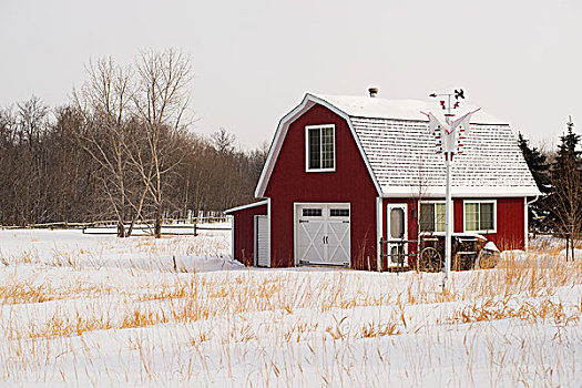 红色,谷仓,房子,乡野,冬天,曼尼托巴,加拿大