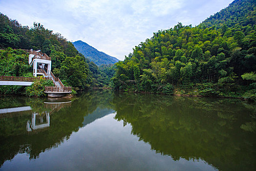 水面,湖,湖泊,水