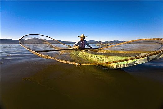 捕鱼者,蝴蝶,渔网,湖,巴兹瓜罗,米若冈州,墨西哥