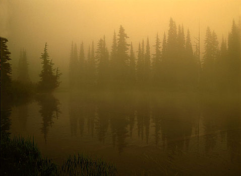 晨雾,反射,湖,山,雷尼尔山,国家公园,大幅,尺寸
