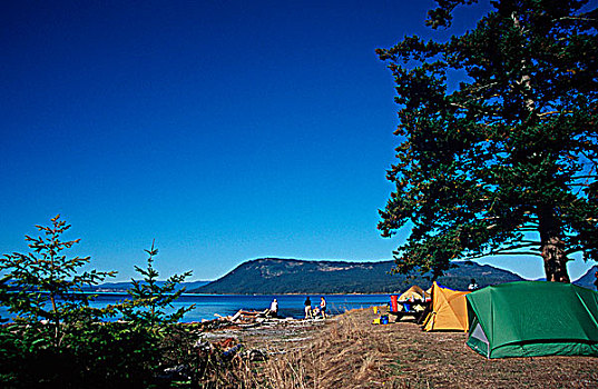 漂流者,露营,麦尔斯堡海滩,波特兰,岛屿,自然保护区,不列颠哥伦比亚省,加拿大