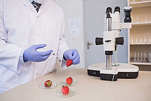 科学家,注射,草莓