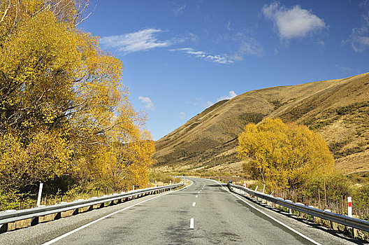 道路,坎特伯雷,南岛,新西兰